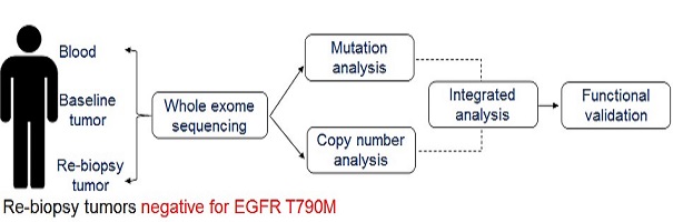 The schema for identification of novel resistance mechanisms using primary tumors from EGFR mutated non-small cell lung cancer patients 