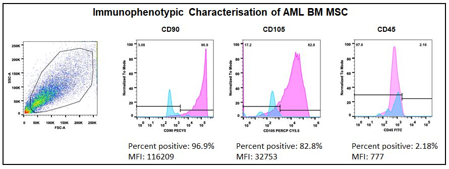 Drug resistance in AML