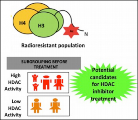 Histone Alterations and DNA Damage